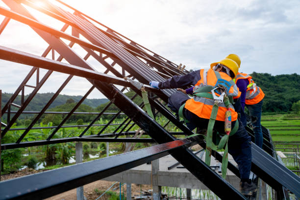 Best Roof Gutter Cleaning  in St Charles, IL