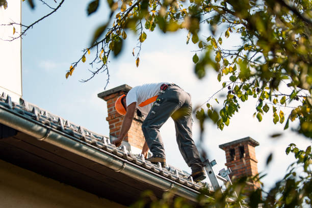 Best Metal Roofing Contractor  in St Charles, IL