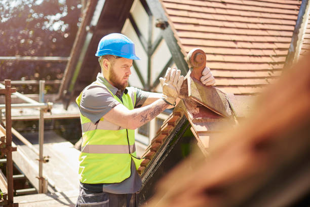 Best Metal Roofing Contractor  in St Charles, IL